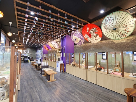 Bs job img 3 20260414141548914