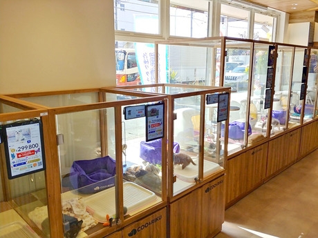 Bs job img 3 20260414141548933