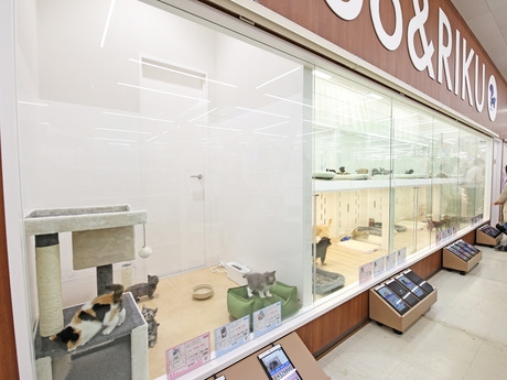 Bs job img 3 2026041414154961