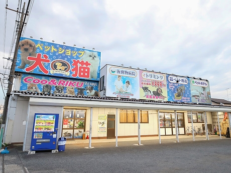 Bs job img 2 20260414141549110