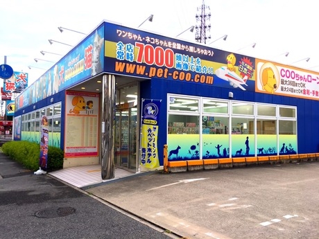 Bs job img 3 20260414141549346