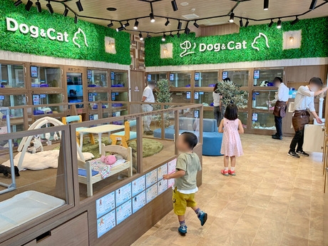 Bs job img 3 20260414141549391