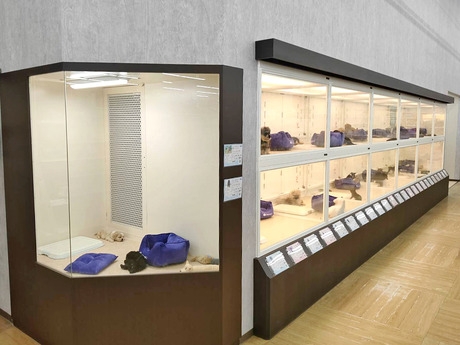 Bs job img 2 20260414141549407