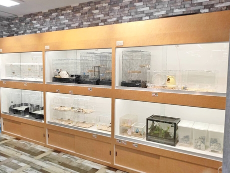 Bs job img 3 20260414141549407