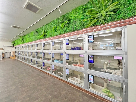 Bs job img 3 20260414141549553