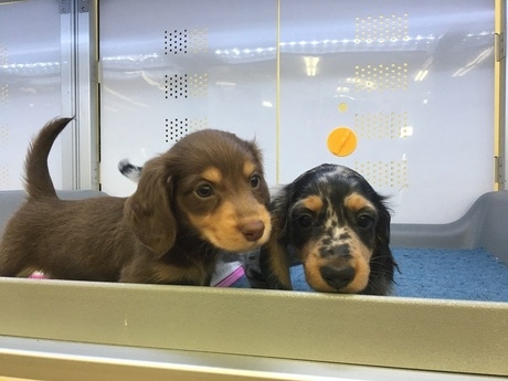 Bs job img 3 20260414141549568