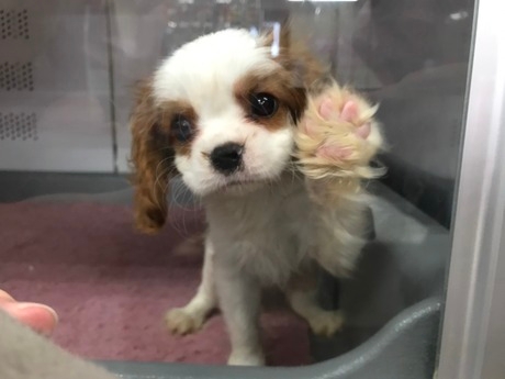 Bs job img 2 20260414141549856