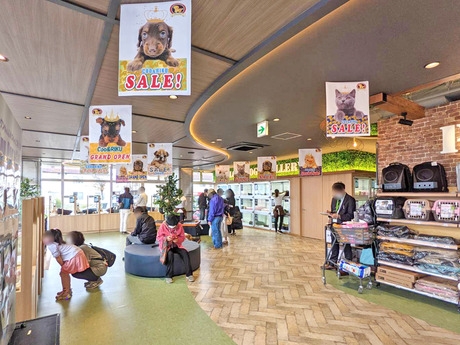 Bs job img 2 20260414141549887