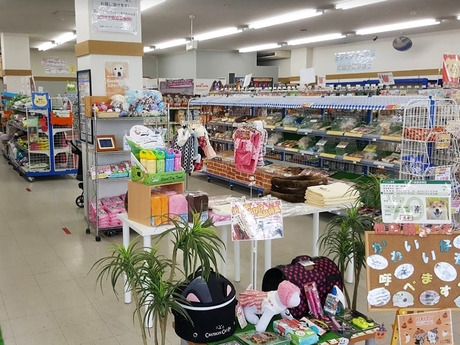 Bs job img 2 202604141415504