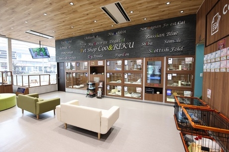 Bs job img 2 20260414141550201