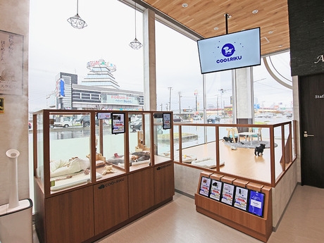 Bs job img 3 20260414141550201