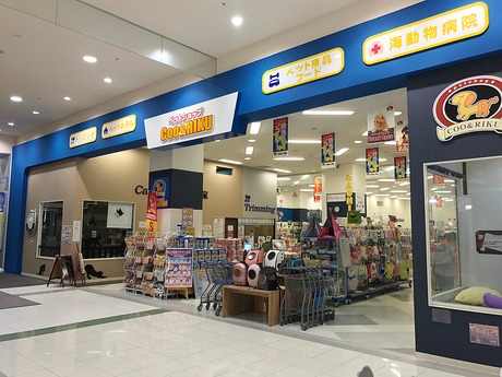 Bs job img 3 20260414141550326