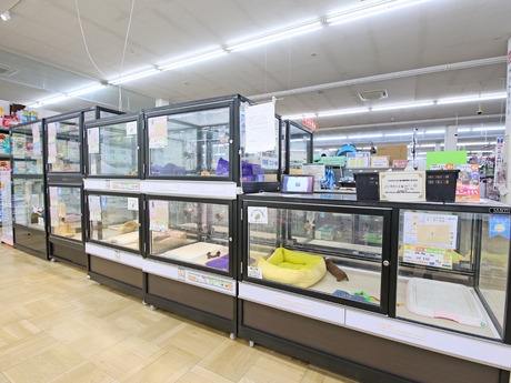 Bs job img 3 20260414141550442