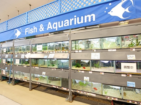 Bs job img 3 20260414141550473