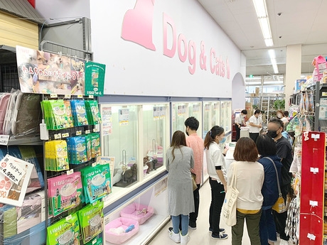 Bs job img 2 20260414141550489