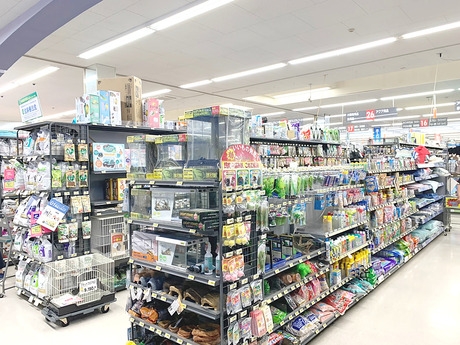 Bs job img 3 20260414141550489