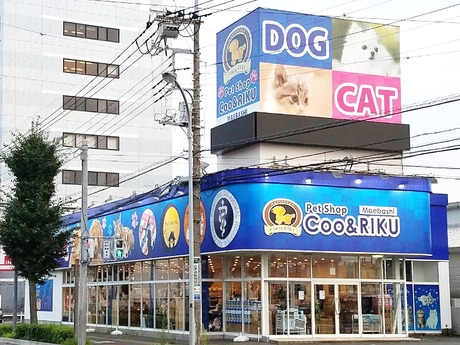 Bs job img 2 20260414141550564