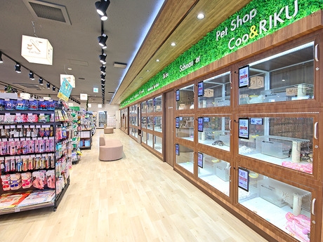 Bs job img 3 20260414141550612