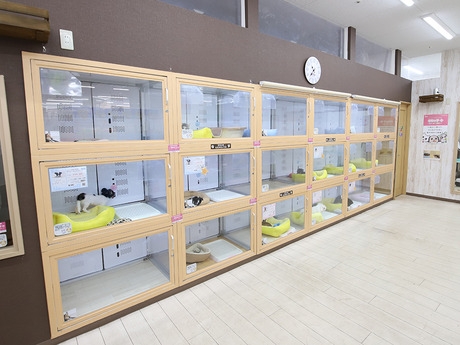 Bs job img 3 20260414141550831