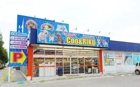 Bs job img 2 20260414141551149