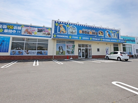 Bs job img 3 20260401062419661