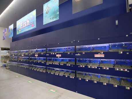 Bs job img 3 20260401062419680