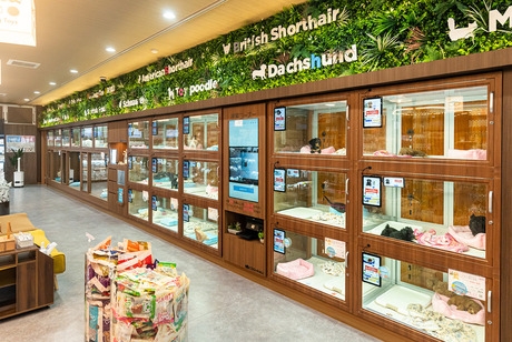 Bs job img 3 20260401062419715