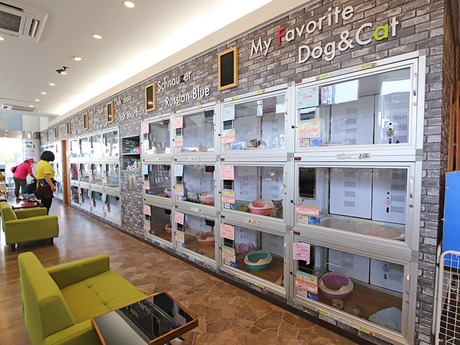 Bs job img 3 20260414141551506