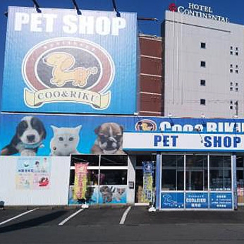 ペットショップCoo&RIKU　福井店(福井県福井市/越前新保駅/その他(販売・警備・サービス・アパレル系))_1
