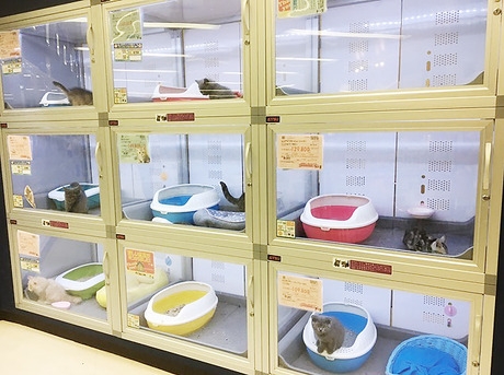 Bs job img 2 20260414141551708