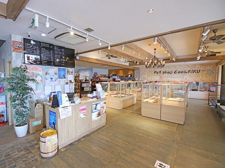 Bs job img 3 20260414141551765