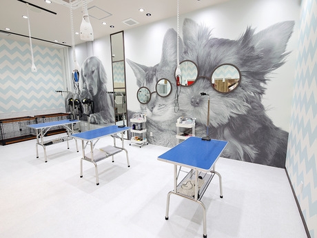 Bs job img 3 20260401062420249