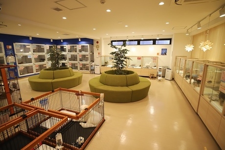 Bs job img 3 20260401062420337