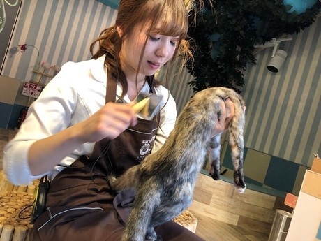 Bs job img 2 20260414141552106