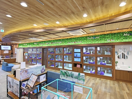 Bs job img 3 20260401062442813