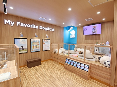 Bs job img 3 2026041414160141