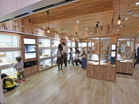 Bs job img 3 20260414141601417