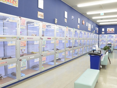 Bs job img 3 20260414141601447