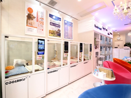 Bs job img 3 20260414141601703