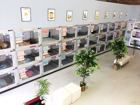 Bs job img 3 20260414141604750