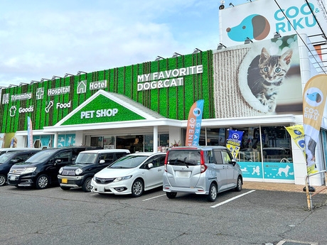 Bs job img 2 20260414141605284