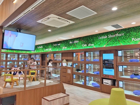 Bs job img 3 20260414141605284