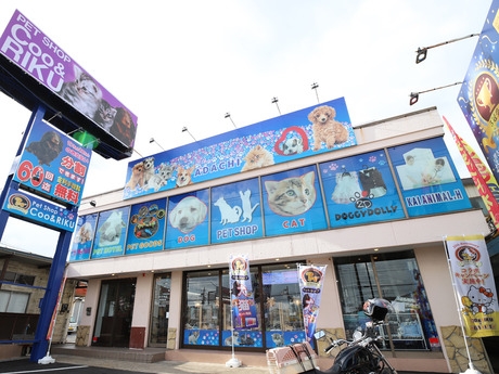 Bs job img 2 20260401062446568