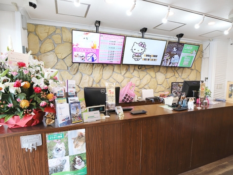 Bs job img 3 20260401062446568