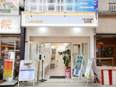 Bs job img 2 20260401062454814