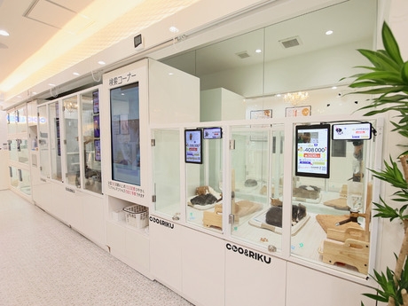 Bs job img 3 20260401062454814