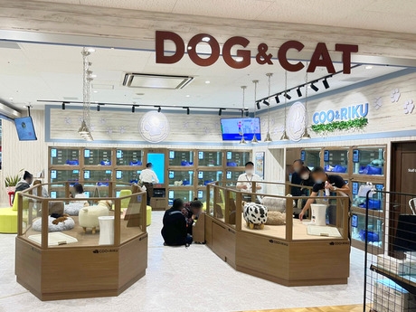 Bs job img 3 20260401062454829