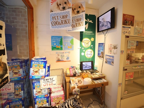 Bs job img 3 20260401062455368