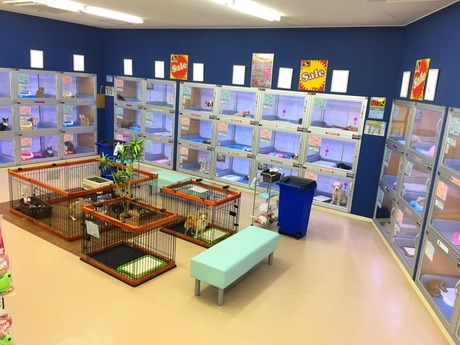 Bs job img 2 20260401062455402