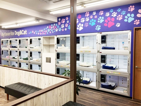 Bs job img 2 20260401062456436